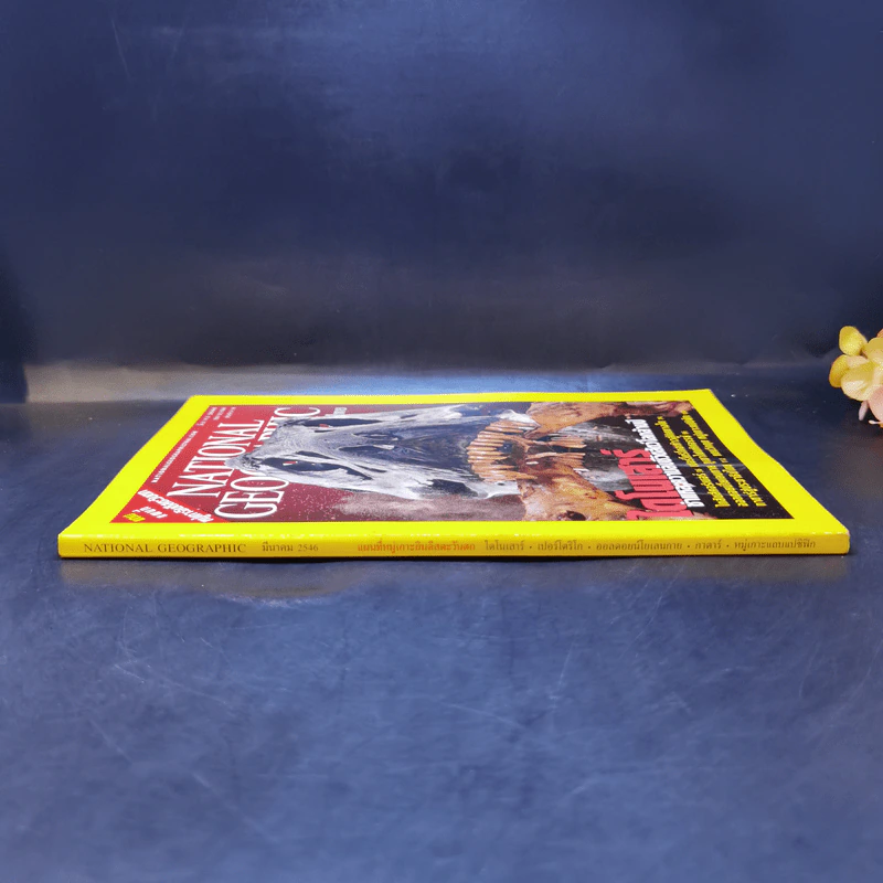 National Geographic มี.ค.2546 ไดโนเสาร์ ชำแหละความลับชีวิตสัตว์โลกล้านปี รูปที่ 3