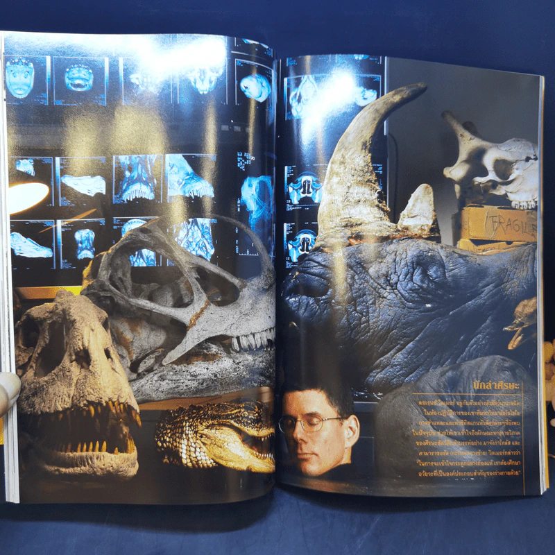 National Geographic มี.ค.2546 ไดโนเสาร์ ชำแหละความลับชีวิตสัตว์โลกล้านปี รูปที่ 12