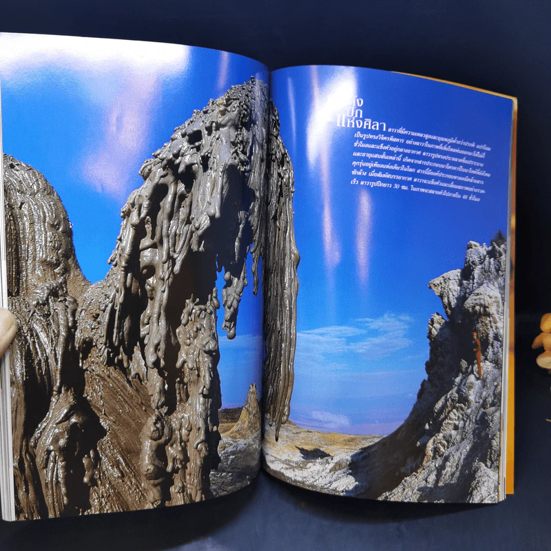 National Geographic มี.ค.2546 ไดโนเสาร์ ชำแหละความลับชีวิตสัตว์โลกล้านปี รูปที่ 15