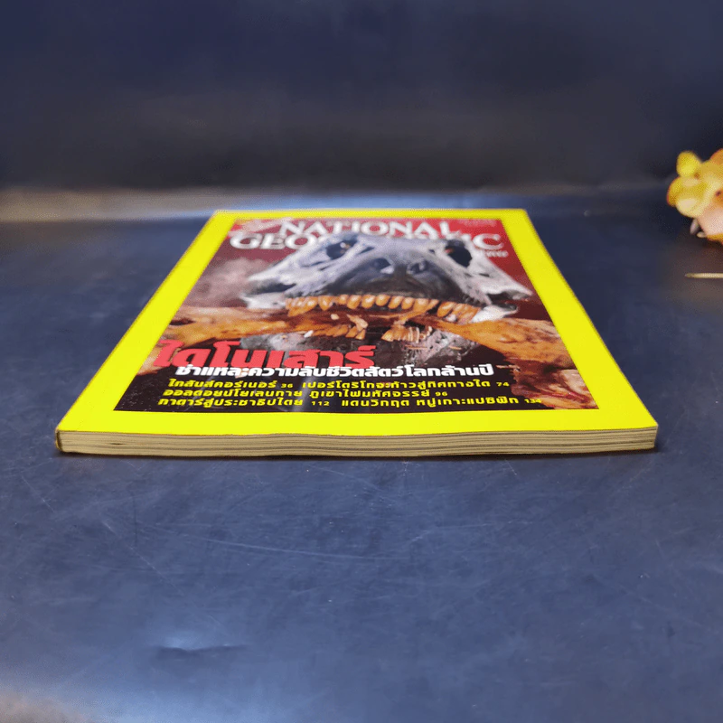 National Geographic มี.ค.2546 ไดโนเสาร์ ชำแหละความลับชีวิตสัตว์โลกล้านปี รูปที่ 4