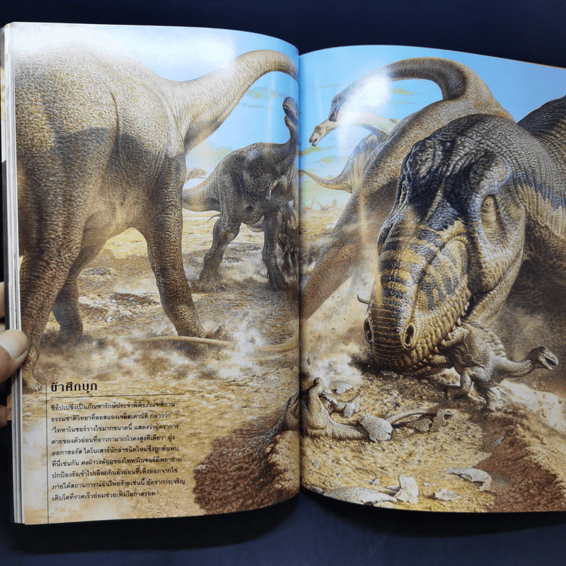 National Geographic มี.ค.2546 ไดโนเสาร์ ชำแหละความลับชีวิตสัตว์โลกล้านปี รูปที่ 13