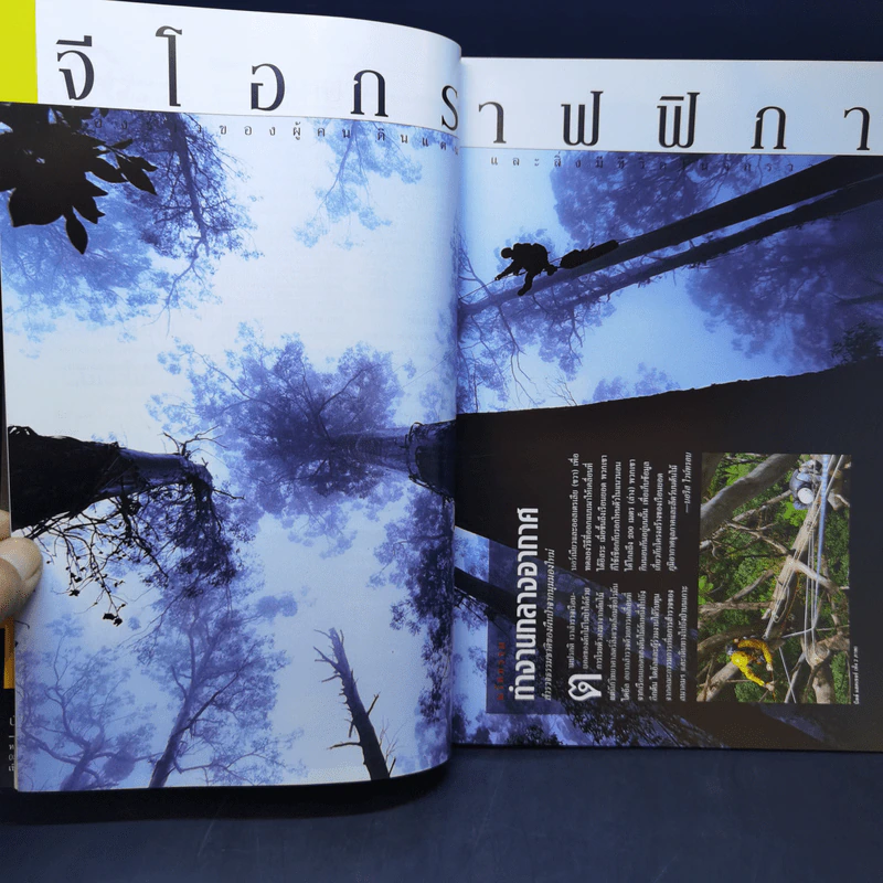 National Geographic มี.ค.2546 ไดโนเสาร์ ชำแหละความลับชีวิตสัตว์โลกล้านปี รูปที่ 10