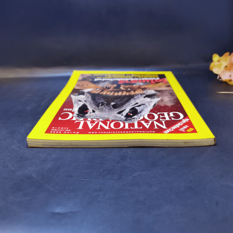 National Geographic มี.ค.2546 ไดโนเสาร์ ชำแหละความลับชีวิตสัตว์โลกล้านปี รูปที่ 6