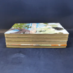 การ์ตูนวาย Super Lovers สุดที่รัก เล่ม 1-4 รูปที่ 4