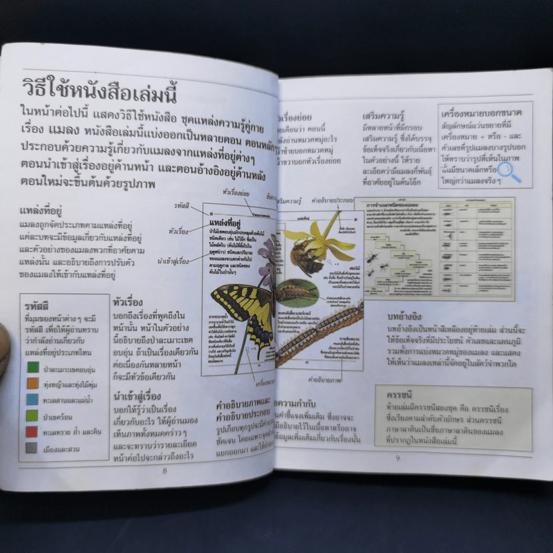 ชุด แหล่งความรู้คู่กาย แมลง รูปที่ 12