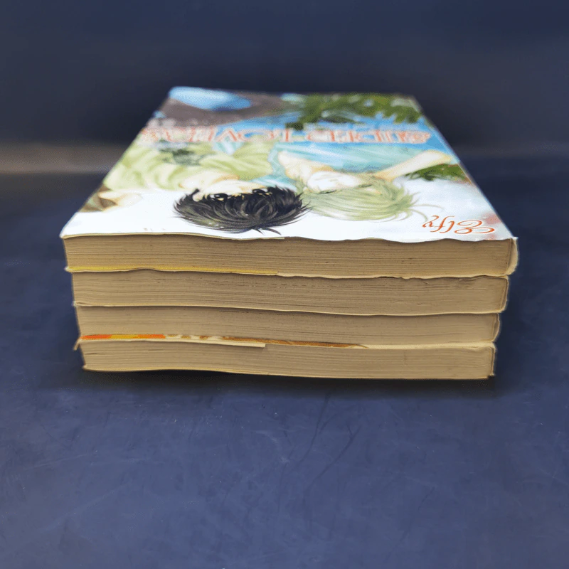 การ์ตูนวาย Super Lovers สุดที่รัก เล่ม 1-4 รูปที่ 5