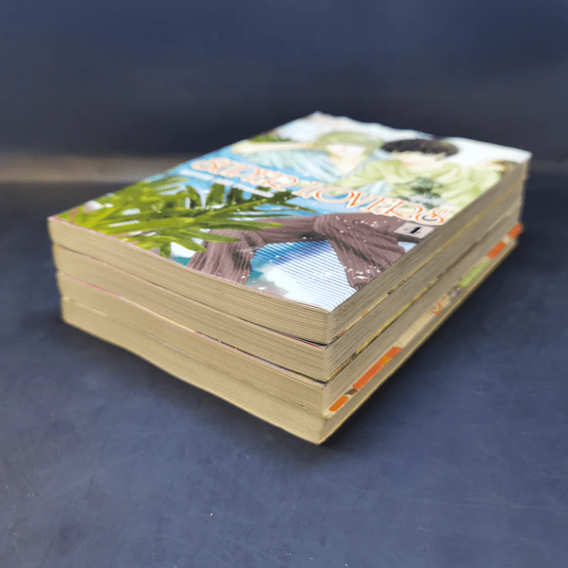 การ์ตูนวาย Super Lovers สุดที่รัก เล่ม 1-4 รูปที่ 6