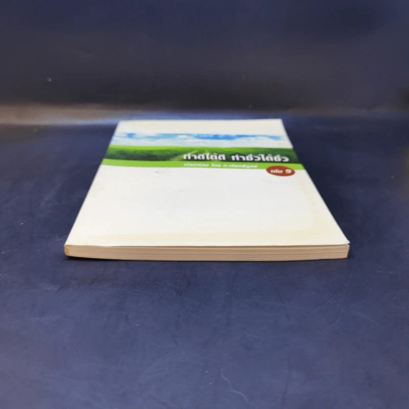 ทำดีได้ดี ทำชั่วได้ชั่ว เล่ม 9 - ท.เลียงพิบูลย์ รูปที่ 4