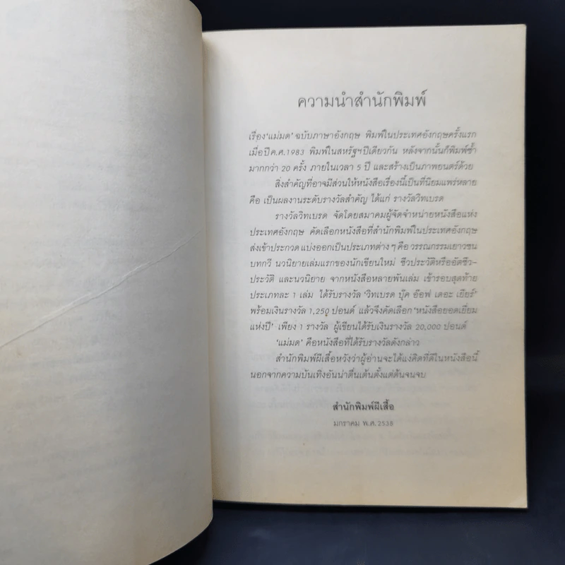 แม่มด - โรอัลด์ ดาห์ล รูปที่ 11