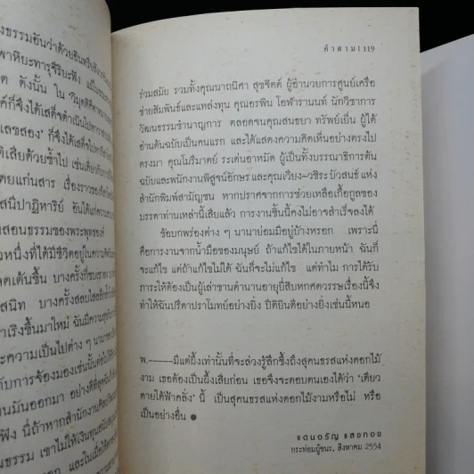 เดียวดายใต้ฟ้าคลั่ง - แดนอรัญ แสงทอง รูปที่ 12