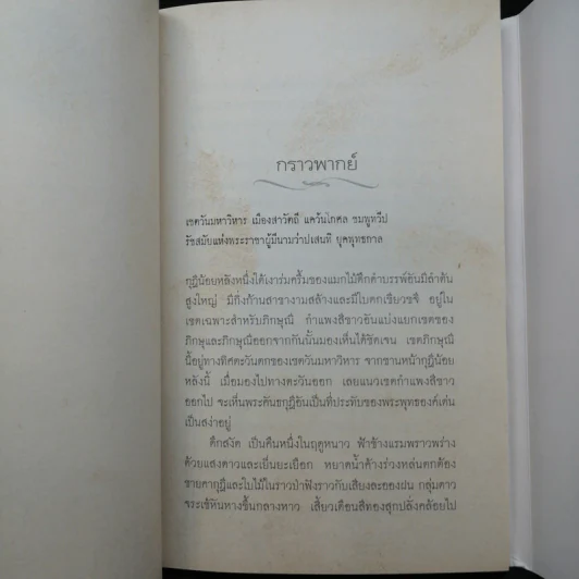 เดียวดายใต้ฟ้าคลั่ง - แดนอรัญ แสงทอง รูปที่ 11