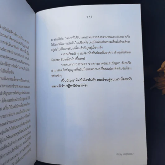ปัญญาญี่ปุ่น - ภิญโญ ไตรสุริยธรรมา รูปที่ 13