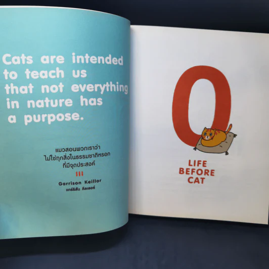Cat Study วิชาแนะแมว - ทีปกร วุฒิพิทยามงคล รูปที่ 10