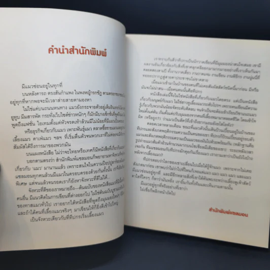 Cat Study วิชาแนะแมว - ทีปกร วุฒิพิทยามงคล รูปที่ 8