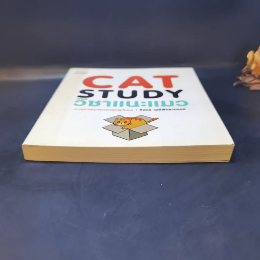 Cat Study วิชาแนะแมว - ทีปกร วุฒิพิทยามงคล รูปที่ 4