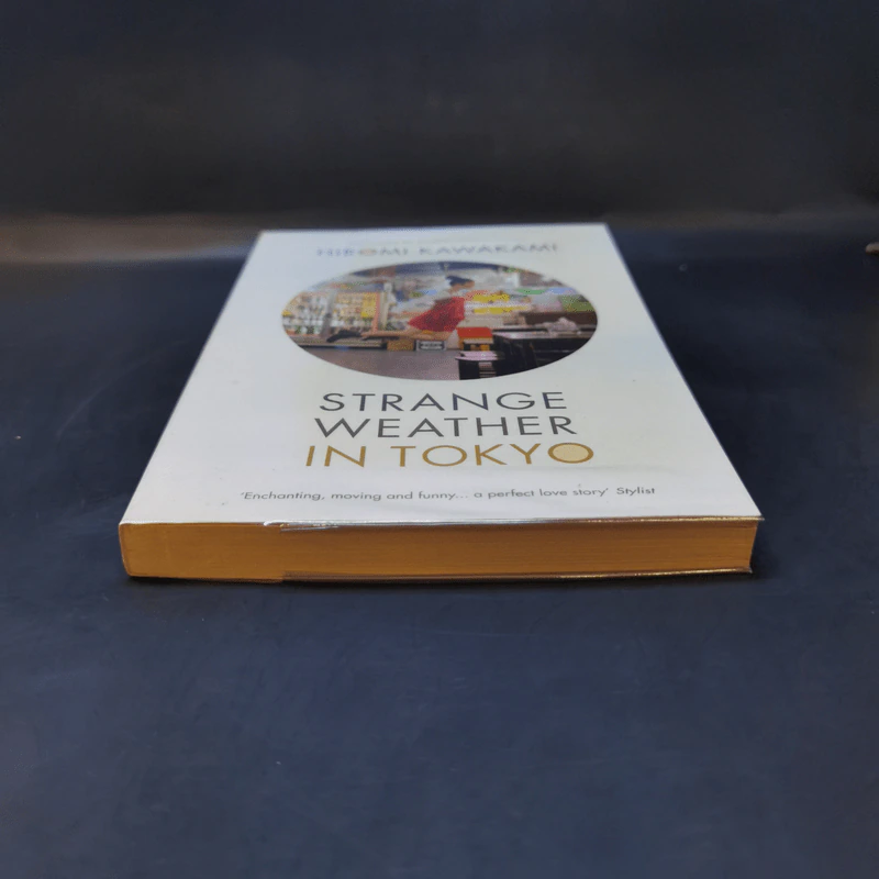 Strange Weather in Tokyo - Hiromi Kawakami รูปที่ 4