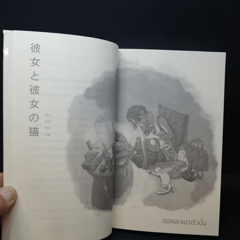 เธอและแมวตัวนั้น - Makoto Shinkai, Hara Naruki Nagakawa รูปที่ 9