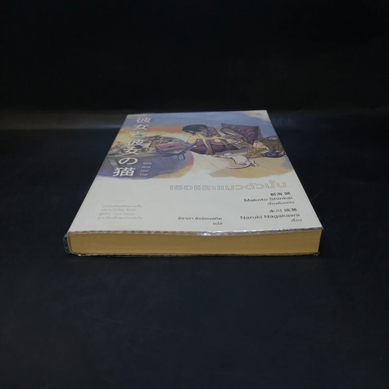 เธอและแมวตัวนั้น - Makoto Shinkai, Hara Naruki Nagakawa รูปที่ 4
