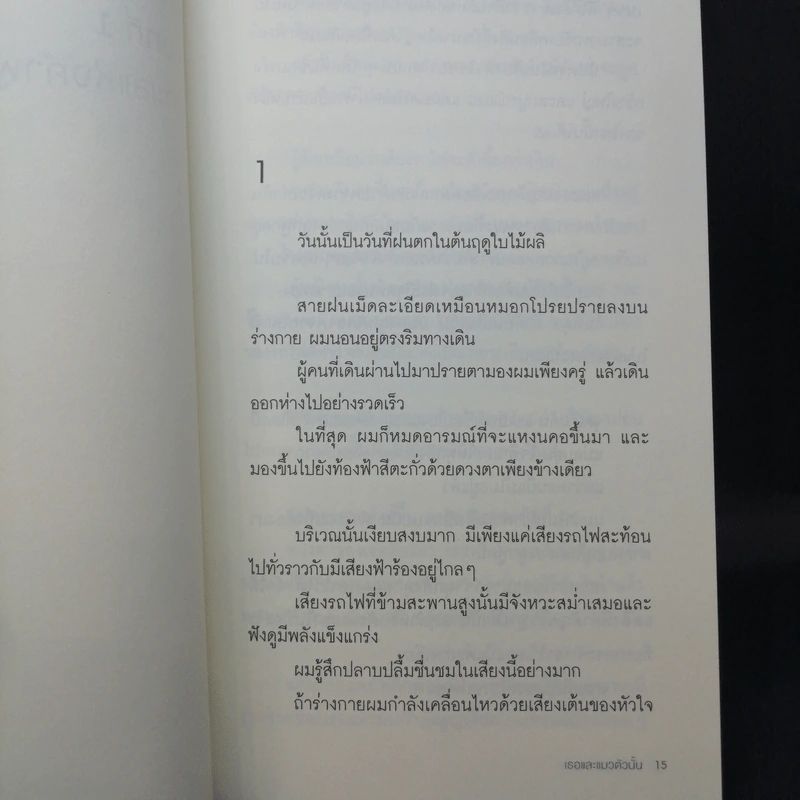 เธอและแมวตัวนั้น - Makoto Shinkai, Hara Naruki Nagakawa รูปที่ 11