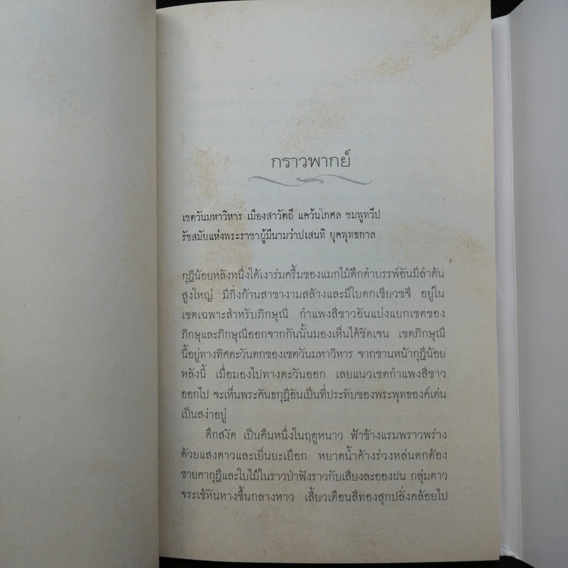 เดียวดายใต้ฟ้าคลั่ง - แดนอรัญ แสงทอง รูปที่ 11