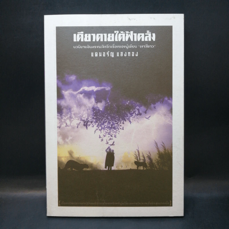 เดียวดายใต้ฟ้าคลั่ง - แดนอรัญ แสงทอง รูปที่ 1