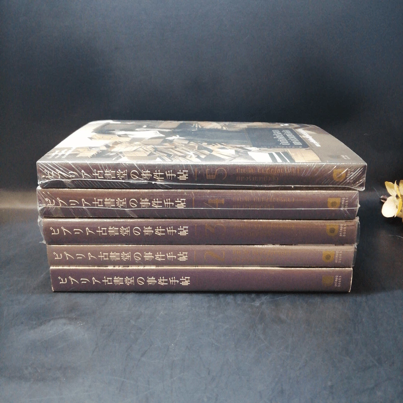 บิเบลีย บันทึกไขปริศนาแห่งร้านหนังสือ เล่ม 1-5 รูปที่ 2