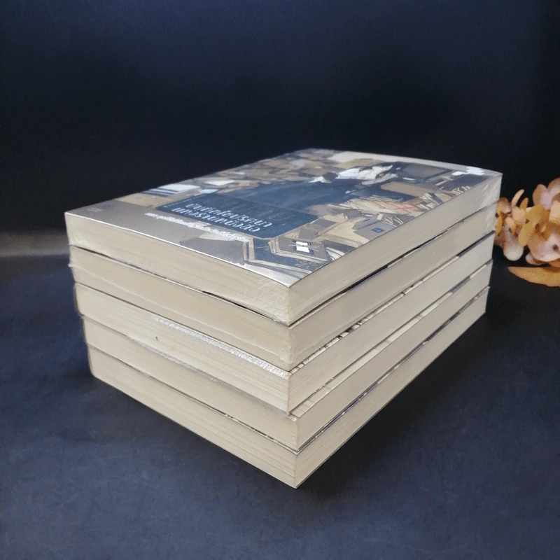 บิเบลีย บันทึกไขปริศนาแห่งร้านหนังสือ เล่ม 1-5 รูปที่ 6