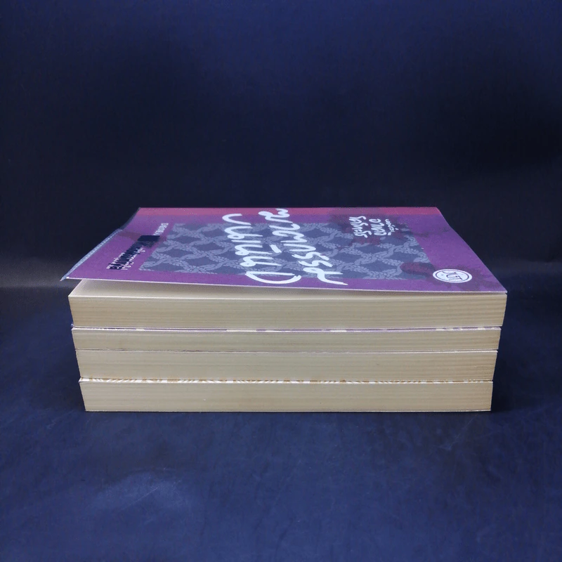 รวมเรื่องสั้นของ ดะไซ โอซามุ เล่ม 1-4 รูปที่ 4
