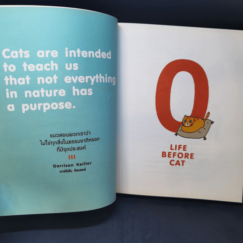 Cat Study วิชาแนะแมว - ทีปกร วุฒิพิทยามงคล รูปที่ 10