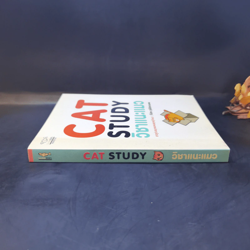 Cat Study วิชาแนะแมว - ทีปกร วุฒิพิทยามงคล รูปที่ 3