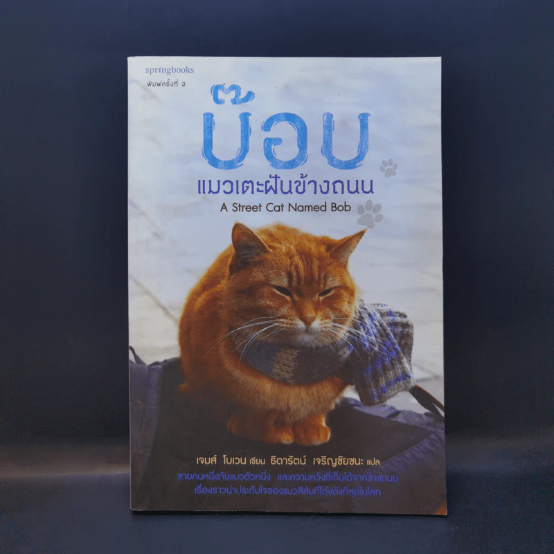 บ๊อบ แมวเตะฝันข้างถนน A Street Cat Named Bob รูปที่ 1