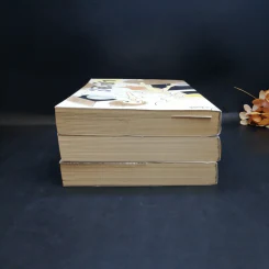 ชิงช้า เล่ม 1-3 - วิศุทธิ์ พรนิมิตร รูปที่ 5