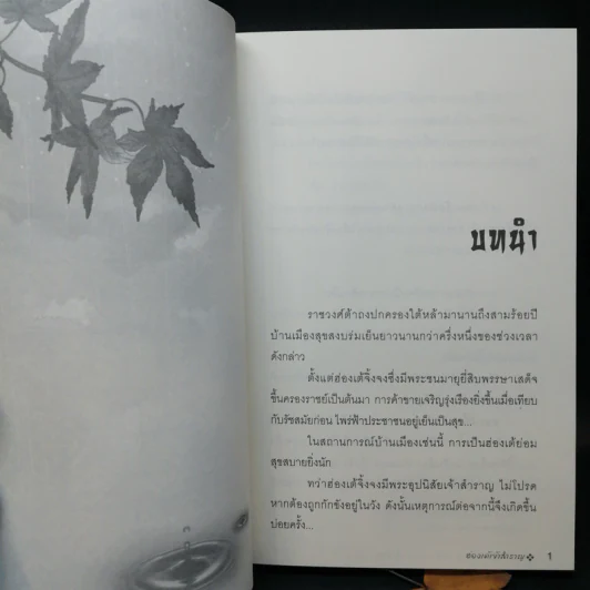 นิยายวาย ฮ่องเต้เจ้าสำราญ 2 เล่มจบ - ซิงเป่าเอ๋อร์ รูปที่ 9