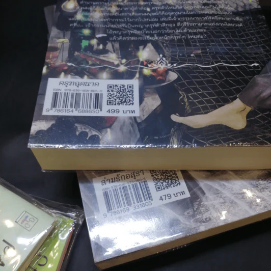 นิยายวาย ครุฑฉุดนาค + ล่ามรักอสุรา + Passport 2 เล่ม + การ์ด 2 ใบ - YongChang รูปที่ 15