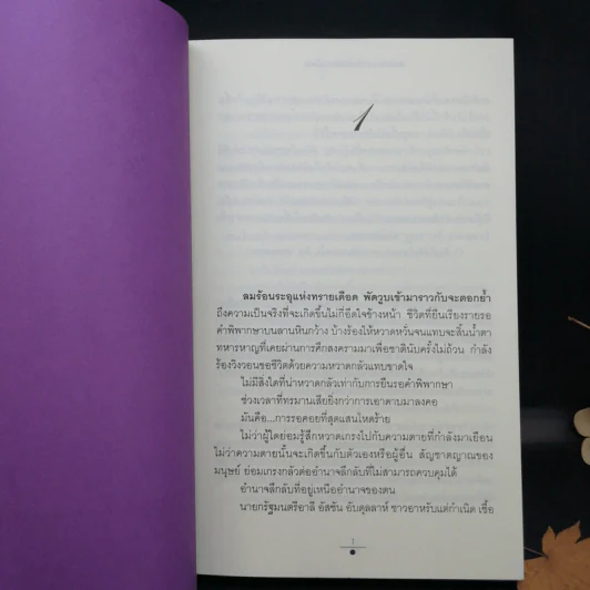 Boxset เส้นทรายสีเงา 2 เล่มจบ + อัสวัด ราชันย์แห่งความมืด 2 เล่มจบ - วรรณวรรธน์ รูปที่ 10