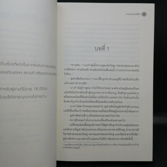 นิยายวาย ทรราชทวงคืน 2 เล่มจบ - ม่านม่านเหอฉีตัว รูปที่ 9