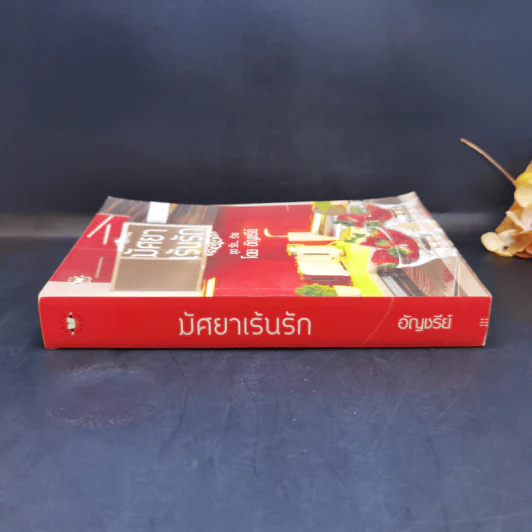 นิยายแจ่มใส มัศยาเร้นรัก ชุด รัก... ร้าย - อัญชรีย์ รูปที่ 3