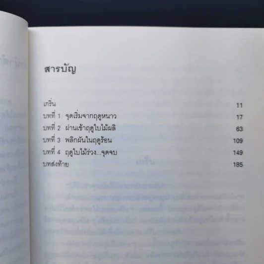 มิเกะเนะโกะ โฮล์มส์ : แมวสามสียอดนักสืบ ตอน 17 ความรักของสาว 4 ฤดู รูปที่ 10
