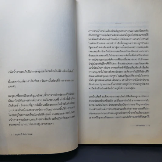 H2O ปรากฎการณ์แตกตัวของน้ำบนแผ่นกระดาษ - อนุสรณ์ ติปยานนท์ รูปที่ 10