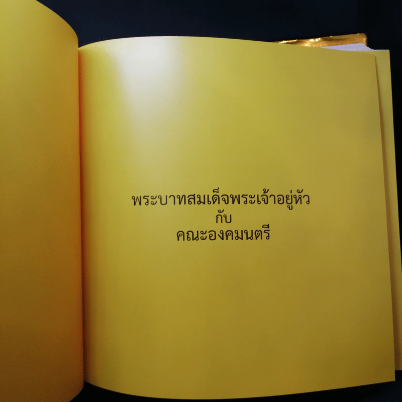 พระบาทสมเด็จพระเจ้าอยู่หัวกับคณะองคมนตรี รูปที่ 8