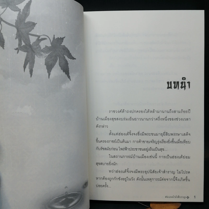 นิยายวาย ฮ่องเต้เจ้าสำราญ 2 เล่มจบ - ซิงเป่าเอ๋อร์ รูปที่ 9