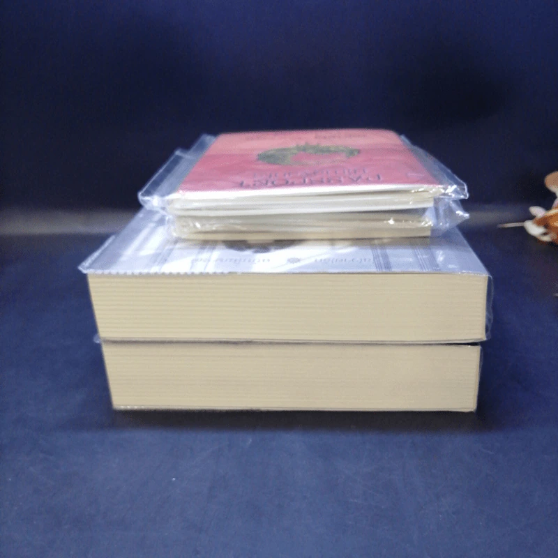 นิยายวาย ครุฑฉุดนาค + ล่ามรักอสุรา + Passport 2 เล่ม + การ์ด 2 ใบ - YongChang รูปที่ 5