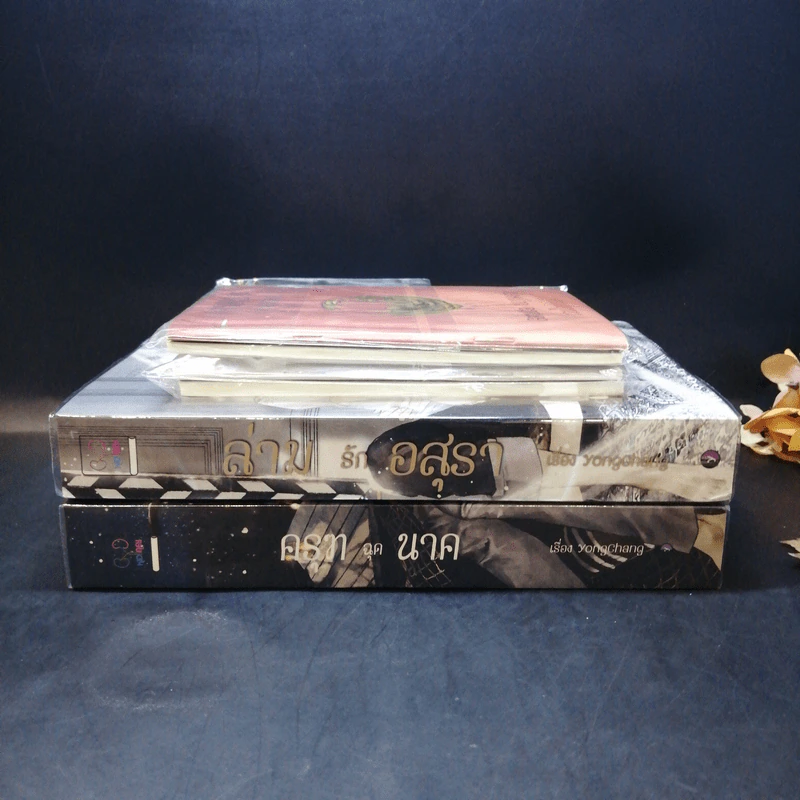 นิยายวาย ครุฑฉุดนาค + ล่ามรักอสุรา + Passport 2 เล่ม + การ์ด 2 ใบ - YongChang รูปที่ 2