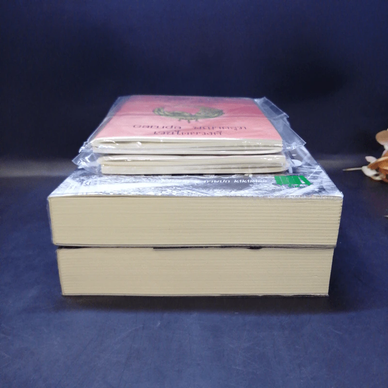 นิยายวาย ครุฑฉุดนาค + ล่ามรักอสุรา + Passport 2 เล่ม + การ์ด 2 ใบ - YongChang รูปที่ 3