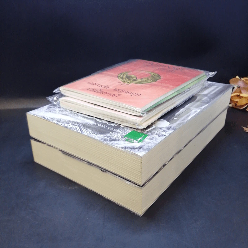 นิยายวาย ครุฑฉุดนาค + ล่ามรักอสุรา + Passport 2 เล่ม + การ์ด 2 ใบ - YongChang รูปที่ 6