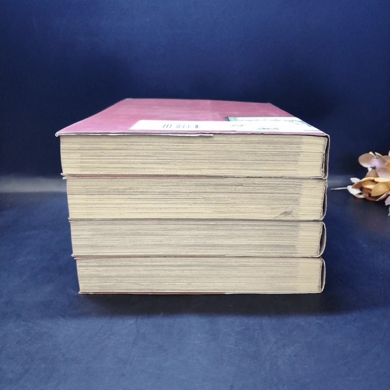 Monster คนปิศาจ เล่ม 1-4 รูปที่ 5