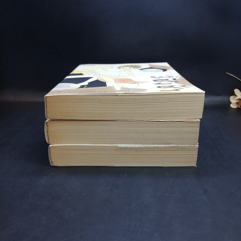 ชิงช้า เล่ม 1-3 - วิศุทธิ์ พรนิมิตร รูปที่ 3