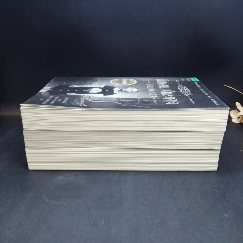 เมืองหลอน เด็กประหลาด + บ้านหลอน เด็กประหลาด + ห้องสมุดหลอน เด็กประหลาด - Ransom Riggs (แรนซัม ริกส์) รูปที่ 4