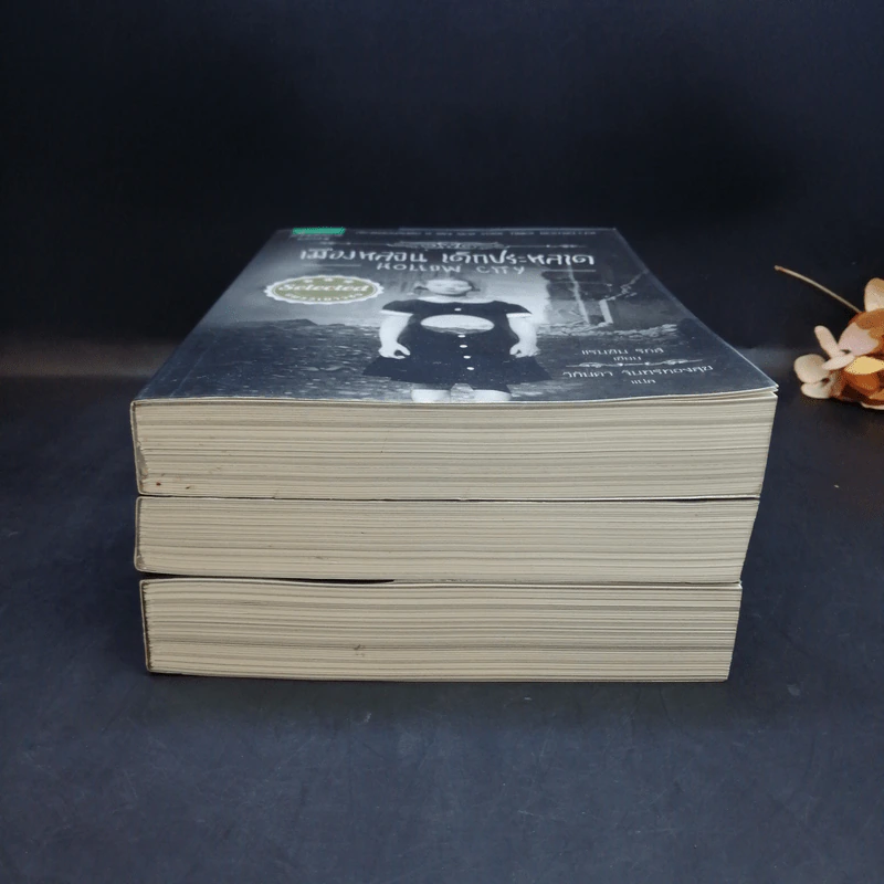 เมืองหลอน เด็กประหลาด + บ้านหลอน เด็กประหลาด + ห้องสมุดหลอน เด็กประหลาด - Ransom Riggs (แรนซัม ริกส์) รูปที่ 3