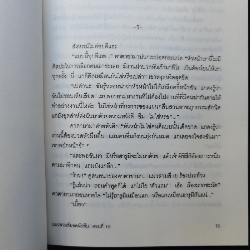 มิเกะเนะโกะ โฮล์มส์ : แมวสามสียอดนักสืบ ตอน 18 เมียผีขี้วีน รูปที่ 11